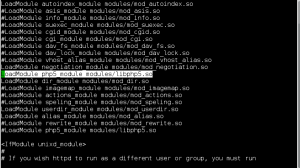 loadmodulephp